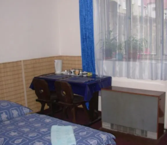 ゲストハウス Hlinkova プルゼニ