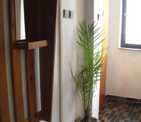 Hlinkova Плзень