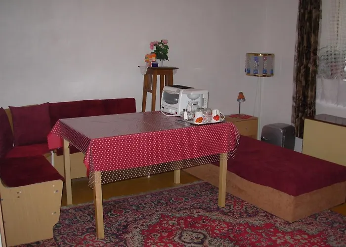 Hlinkova ゲストハウス プルゼニ