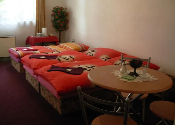 ゲストハウス Hlinkova 2*