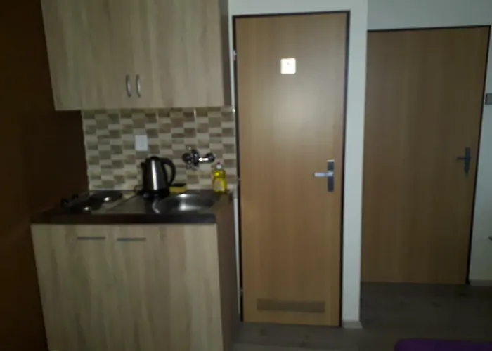 Гостьовий будинок Hlinkova Плзень